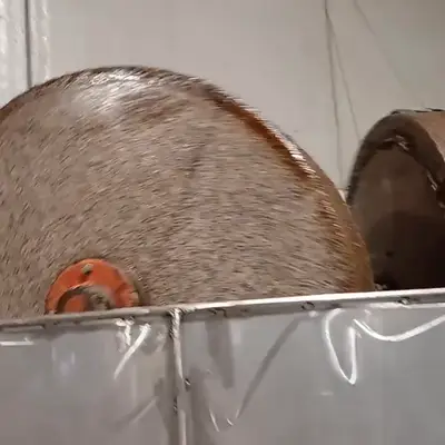 We visited a local olive mill in the season. 