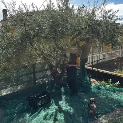 Local gardening and help.